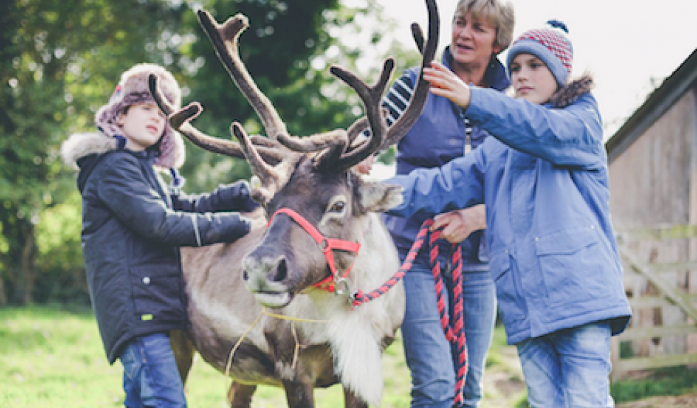Make your Christmas magical with Cotley Christmas Tree Farm The
